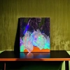 Colorful apple-shaped LED light strings for festival decoration and home atmosphere lighting details Picture